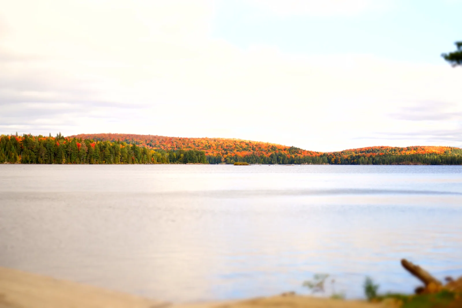 Photo from a past Algonquin Park & Ragged Falls: Hike & Canoe day trip in Algonquin Park – Oxtongue River