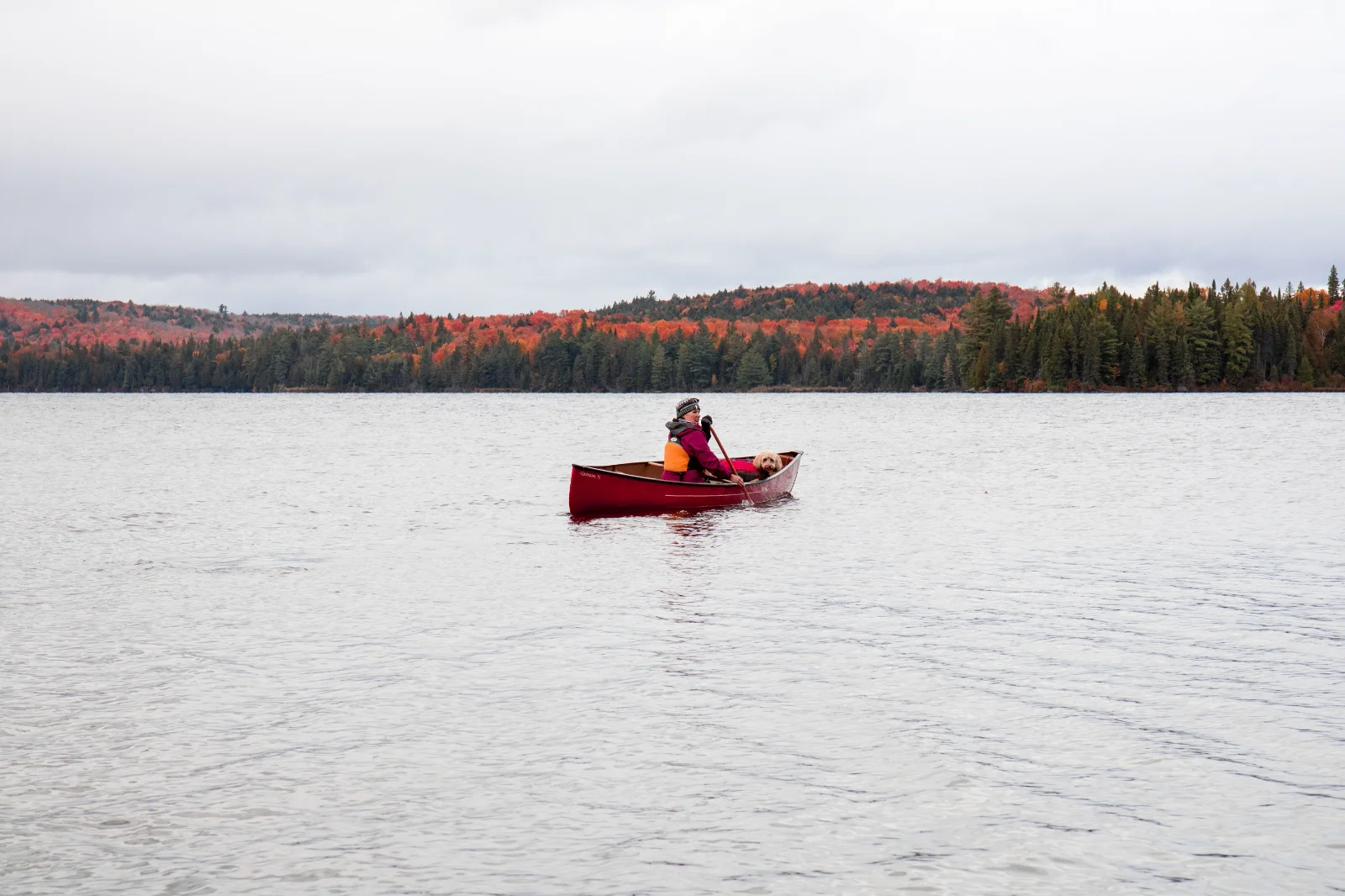 A paddler in a red canoe crossing an Algonquin lake with autumn colour along the far shore