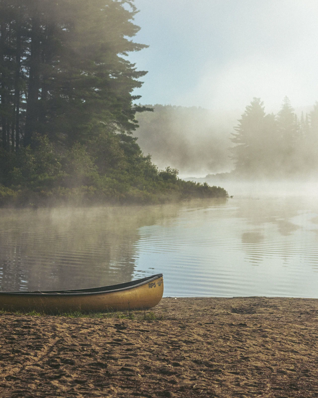 A yellow canoe pulled up on the sand as morning mist lifts off the Oxtongue River in Algonquin Park