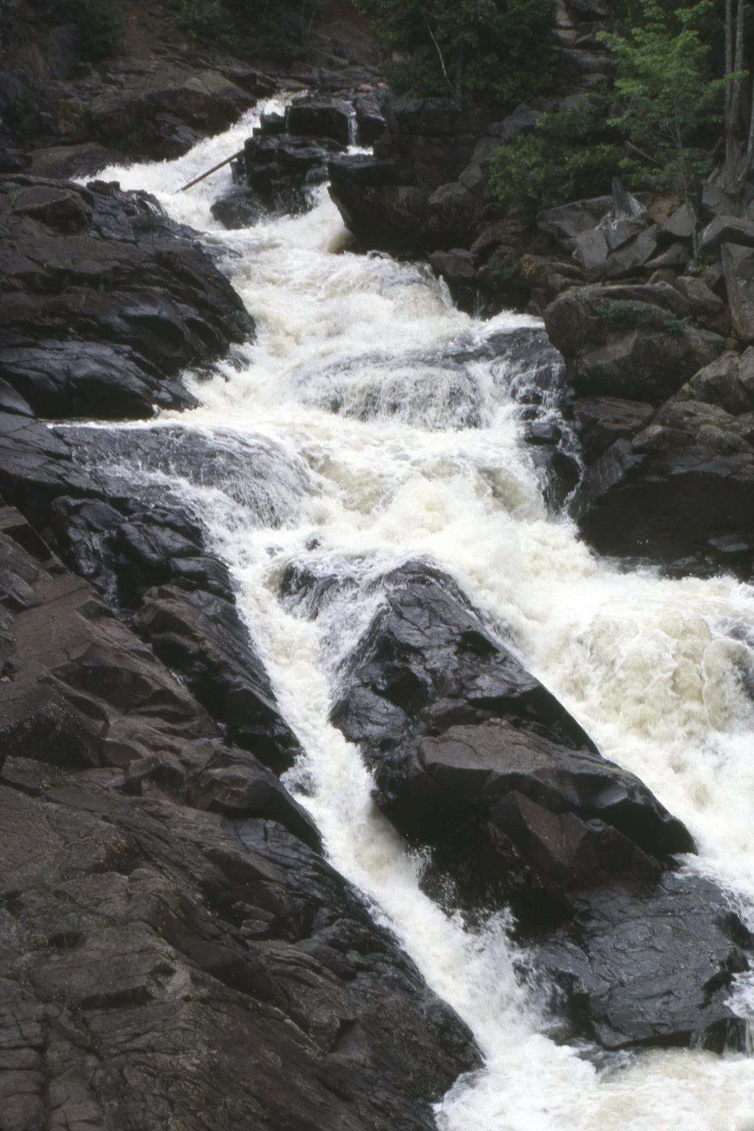 Whitewater rushing over dark rock ledges at Ragged Falls on the Oxtongue River