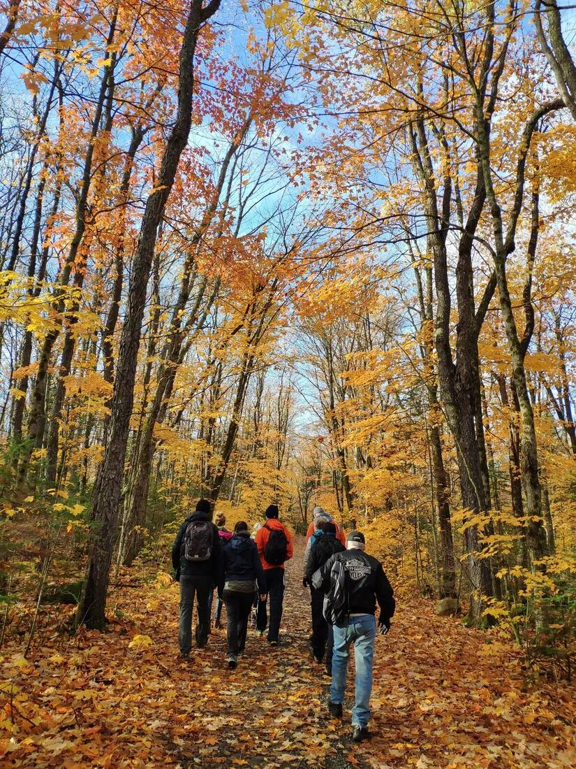 Depart back to Union Station — stop on the Algonquin Voyageur Canoe & Backcountry Hike day trip
