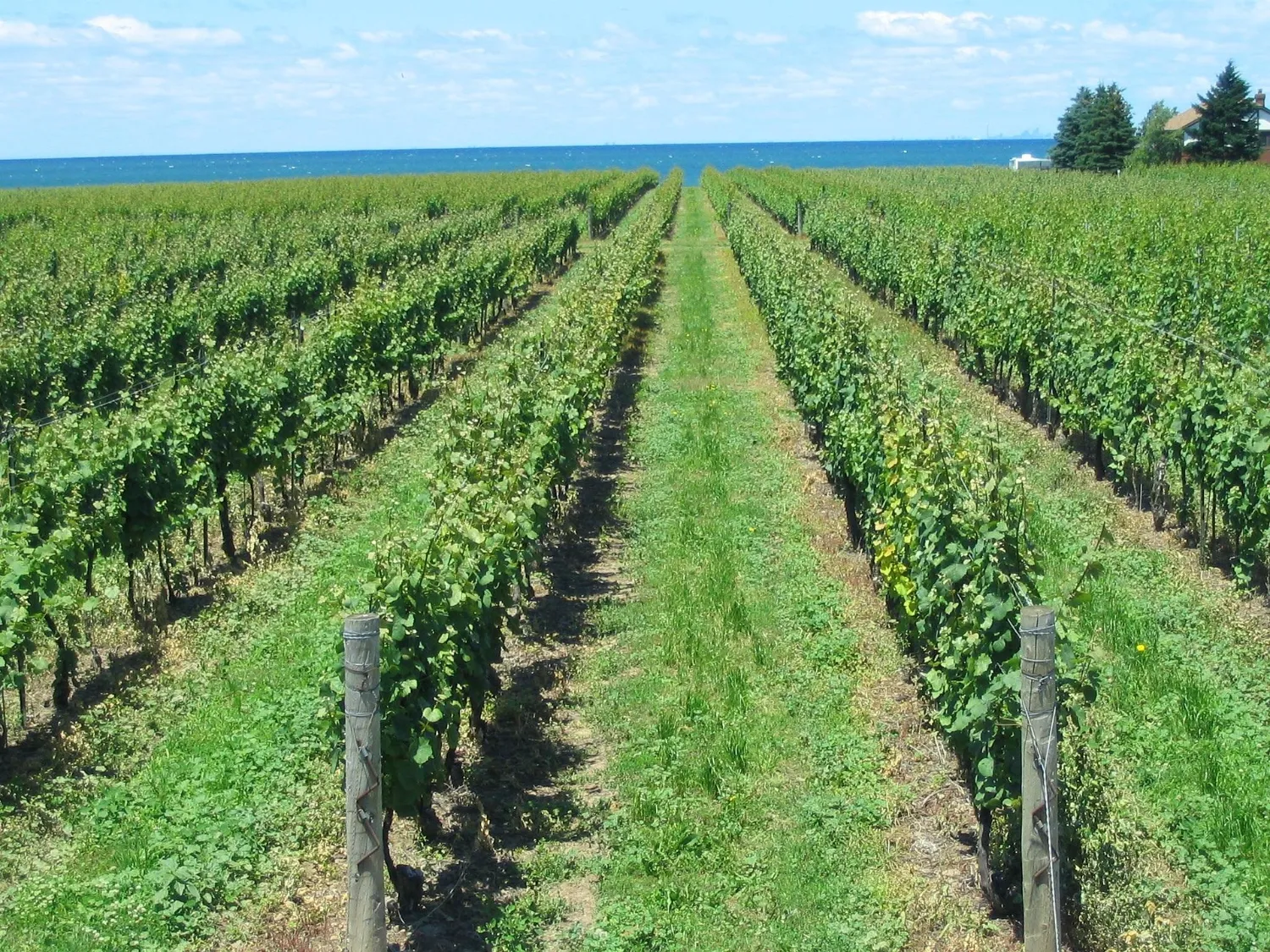 Jet boat check-in & gear-up — stop on the Niagara Falls, Jet Boat & Wine Tasting day trip